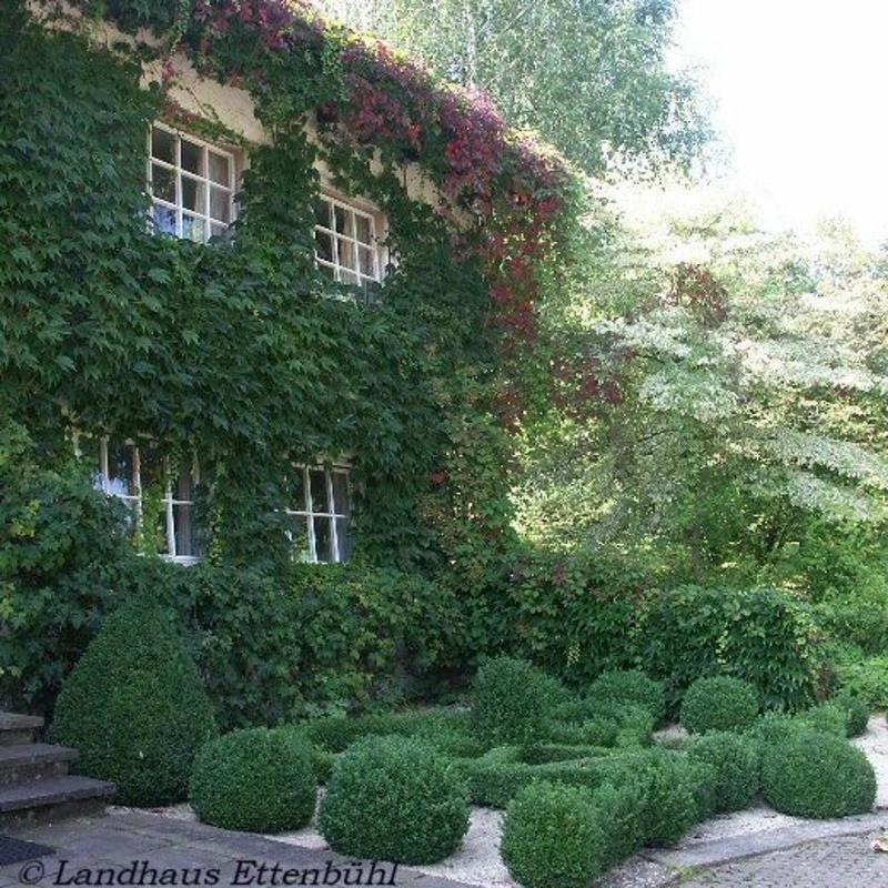 Landhaus Ettenbuehl Bed And Breakfast Bad Bellingen Exteriör bild